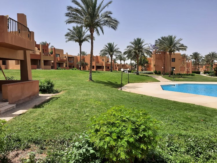 Red Sea Property