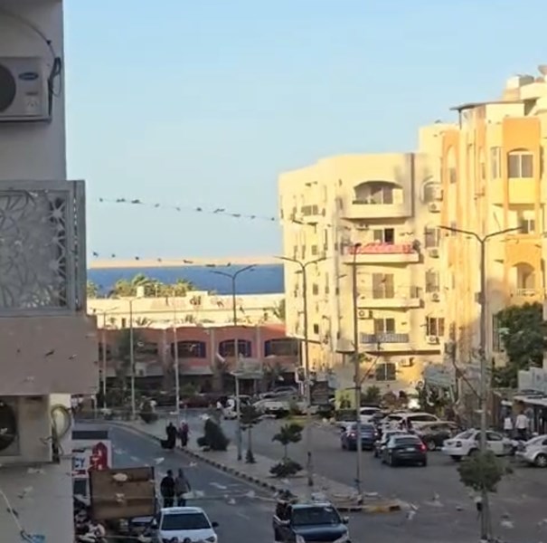 Red Sea Property